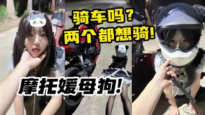 看简阶用它】